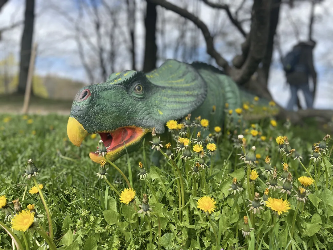 Représentation d'un Protoceratops - Dinoworld Expo