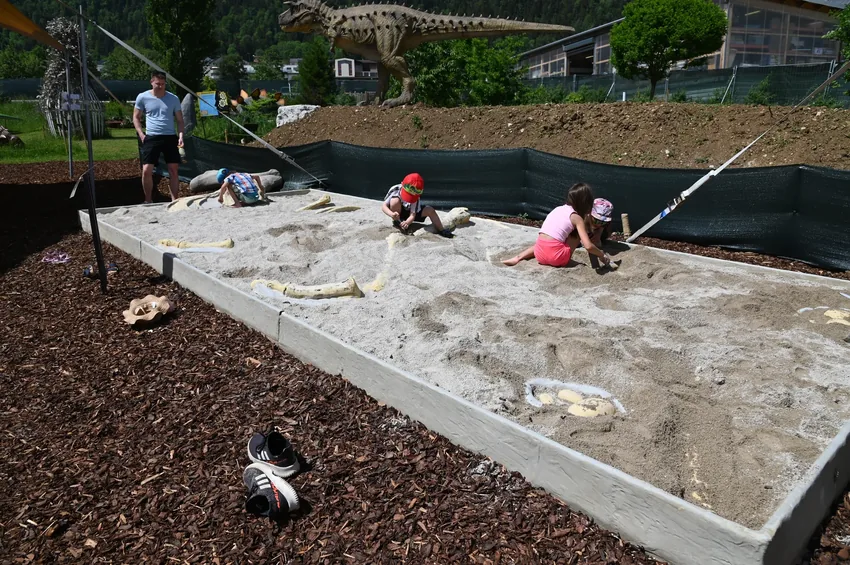 Photo du bac de fouille pour les apprentis archéologues - DinoWorld Expo